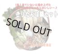 ■■■今ならうどん１袋サービス♪■■■　【比内地鶏セット】本場秋田のきりたんぽ鍋セット５〜６人前７０００円♪２０２４年産新米♪もちもちのきりたんぽに、地鶏のダシがしみこんで、最高〜♪