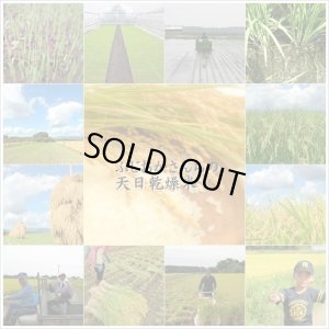 画像1: 【予約販売】２０２４年産天日乾燥米・新米あきたこまち販売30k