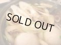 ■■■今ならうどん１袋サービス♪■■■　本場秋田のきりたんぽ鍋・ゴールドセット５〜６人前１５，１００円♪２０２４年産新米♪もちもちのきりたんぽに、本物の比内地鶏を１匹丸ごと使用！！