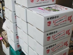 画像4: ■■■今ならうどん１袋サービス♪■■■　本場秋田のだまっこ鍋セット３〜４人前４９００円♪２０２３年度産新米♪もちもちだまっこに、地鶏のダシがしみこんで、最高〜♪