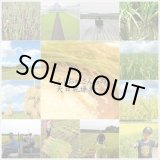 画像: 【予約販売】２０２４年産天日乾燥米・新米あきたこまち販売30k