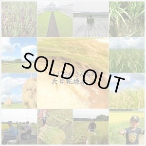画像: 【予約販売】２０２４年産天日乾燥米・新米あきたこまち販売30k