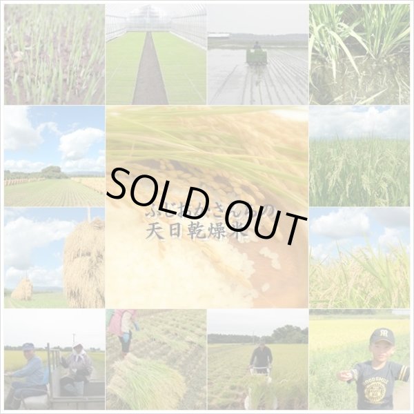 画像1: 【予約販売】２０２４年産天日乾燥米・新米あきたこまち販売30k